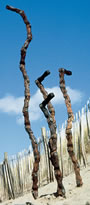 image - bamboozle sticks